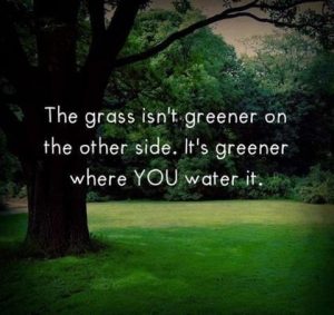 the grass isn't greener