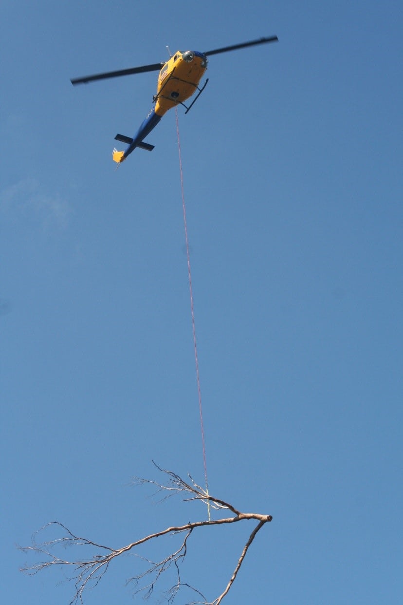 You are currently viewing Helilift: Tree removal in Brisbane with the assistance of a helicopter