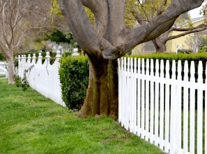 Neighbours and trimming fence lines – What you should know