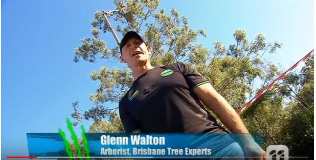Read more about the article Brisbane Tree Experts have gone Totally Wild!