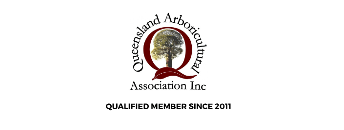 queensland arboricultural association logo